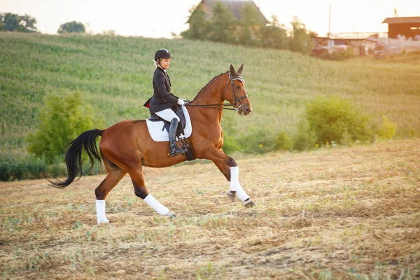 Mulher equitação marrom cavalo usando capacete — Fotografia de Stock