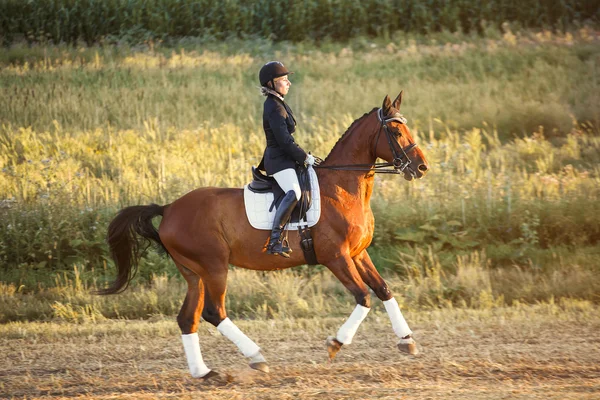 Beautiful elegance woman cowgirl, riding a horse. Has slim sport body. People and animals. Equestrian.