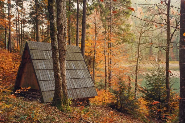 Houten huis gazebo bos — Stockfoto