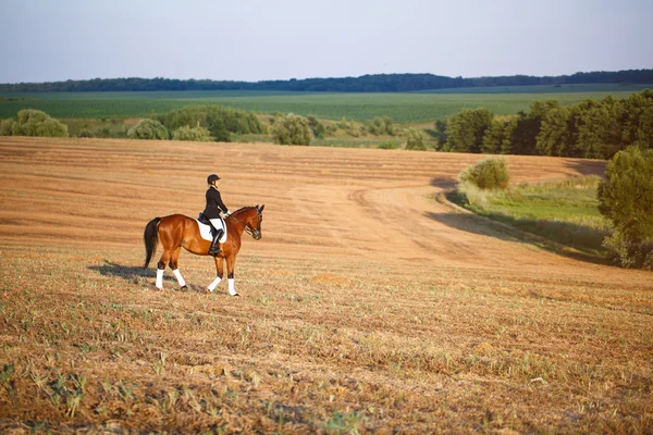 Nő lovaglás egy ló. Lovas sportoló jockey — Stock Fotó