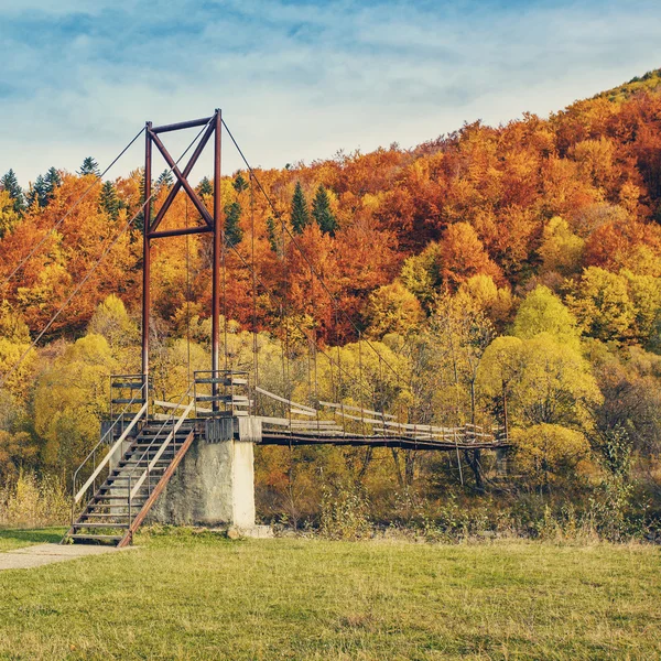 Most wiszący w lesie — Zdjęcie stockowe