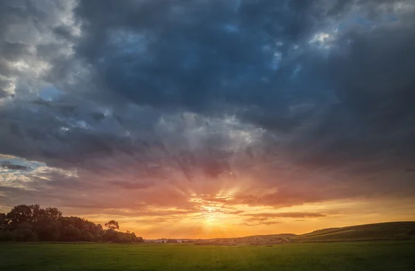 Tramonto sul prato verde — Foto Stock