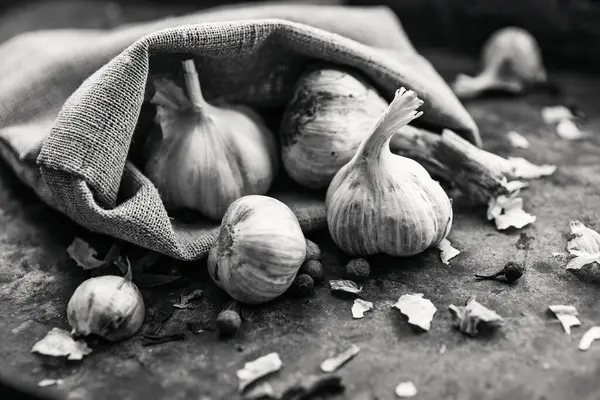 Garlic. Garlic clove, garlic bulb in a sack of burlap on a dark background.