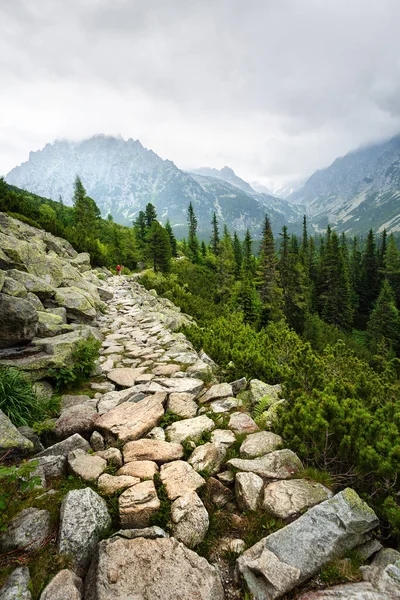 Piedras Camino Las Altas Montañas Picos Niebla Concepto Vacaciones Viajero — Foto de Stock