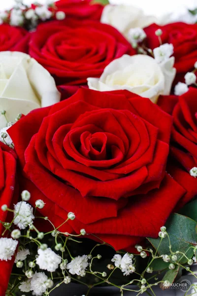 Red White Roses Bouquet Clouse Selective Focus — Fotografia de Stock