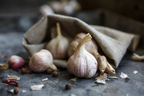 Garlic. Garlic clove and garlic bulb in vintage burlap. Garlic bulbs on a gray background. Healthy lifestyle concept.