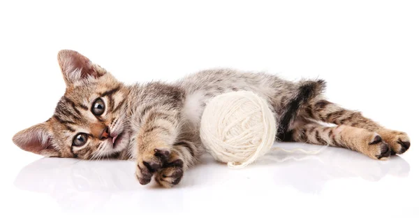 Chaton rayé avec boule blanche — Photo