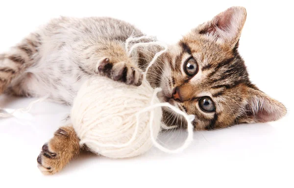 Gatinho brincalhão com bola branca — Fotografia de Stock