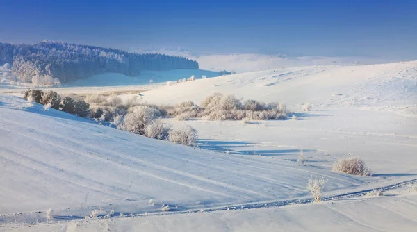 Vista sul paesaggio invernale — Foto Stock