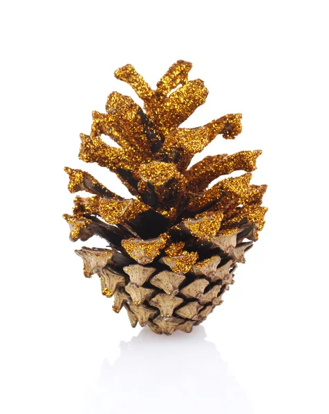 Pine cone on white background — Stock Photo, Image