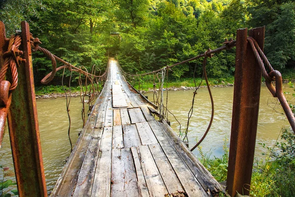 Puente en el bosque — Foto de Stock