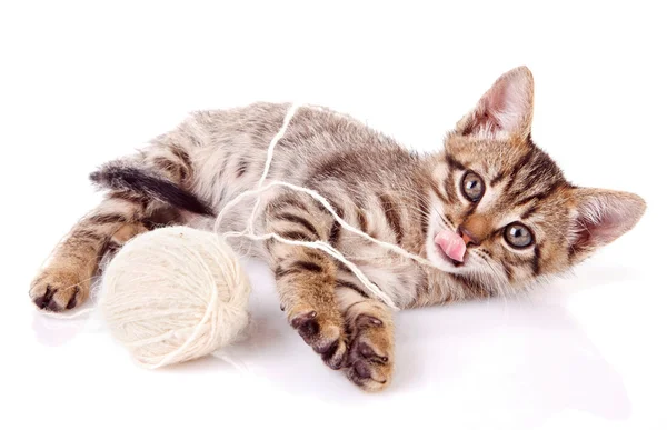 Tabby Kätzchen mit einem Ball — Stockfoto