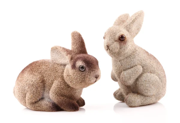 Couple of easter bunnies — Stock Photo, Image