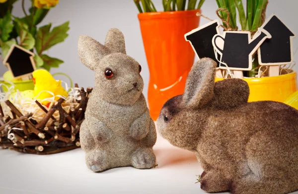 Decorative easter bunnies — Stock Photo, Image