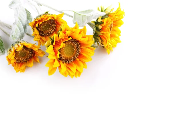 Artificial sunflowers with copy space — Stock Photo, Image