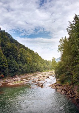 Ormandaki dağ deresi