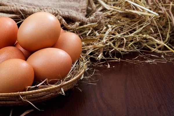 Nature chicken eggs — Stock Photo, Image