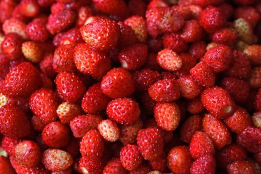 Olgun Yaban çilekleri