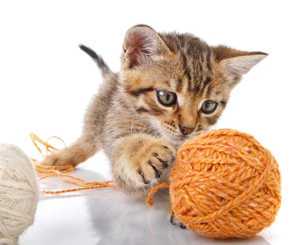 Playful tabby kitten with balls — Stock Photo, Image