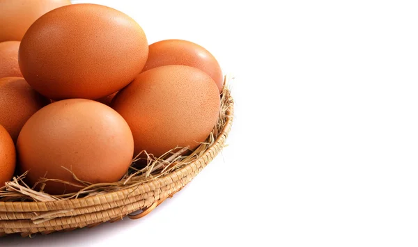 Nature chicken eggs — Stock Photo, Image