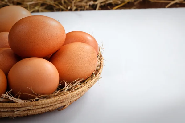 Nature chicken eggs — Stock Photo, Image