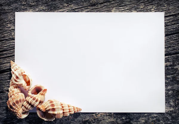Leeres Blatt Papier und Muscheln auf Holzgrund — Stockfoto