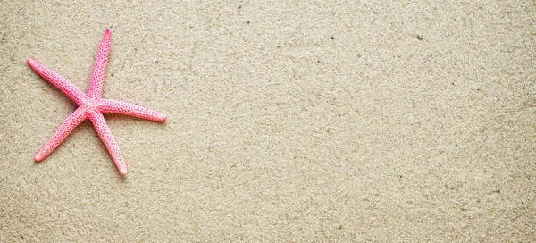 Conchas de mar sobre arena.red Estrella de mar — Foto de Stock