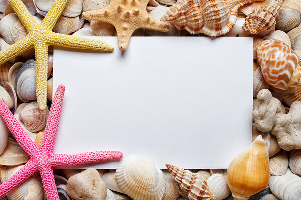 blank sheet of paper on sea Shell background