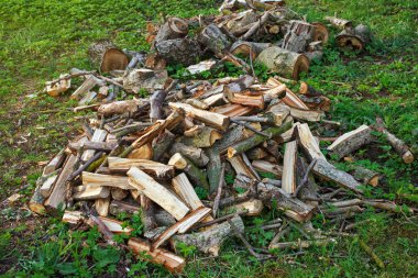 çimenlerin üzerinde odun yığını