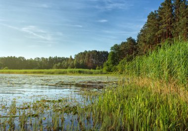 Göl ve mavi gökyüzü ile manzara