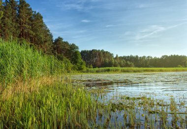 Göl ve mavi gökyüzü ile manzara