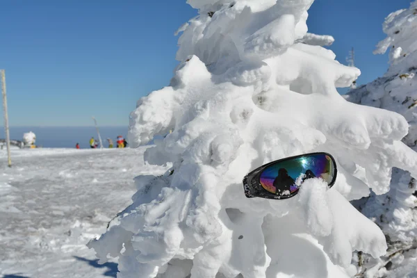 Zonnebril op sneeuw — Stockfoto