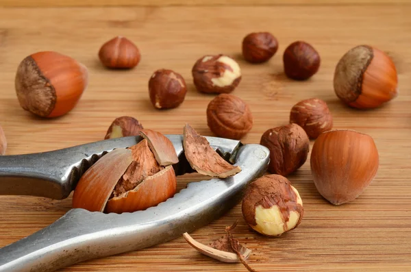 Broken hazelnut — Stock Photo, Image