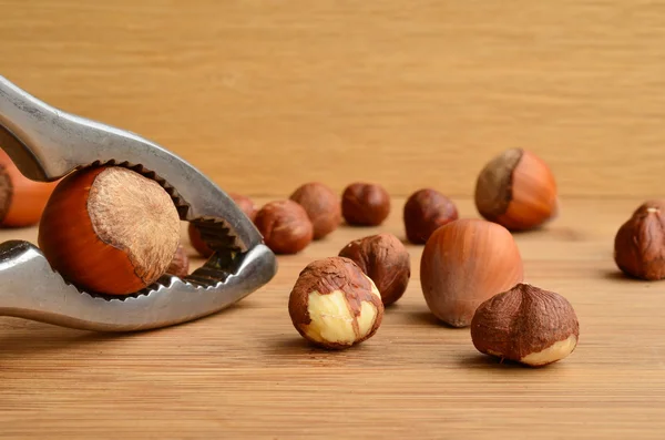 Hazelnuts cracking — Stock Photo, Image