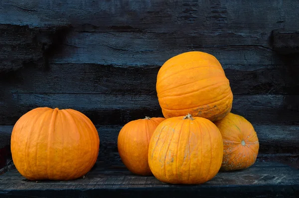 Calabazas —  Fotos de Stock