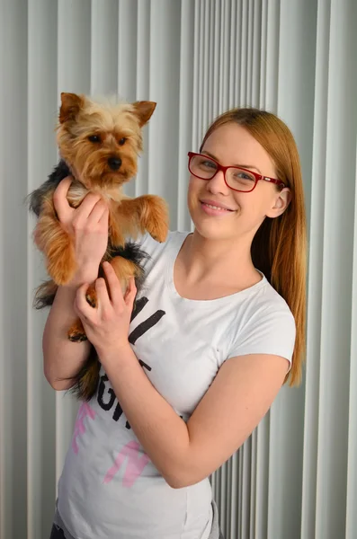 Menina segurando cão Yorky — Fotografia de Stock