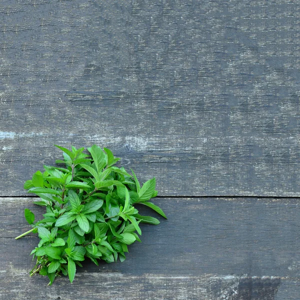 Bunch of mint — Stock Photo, Image