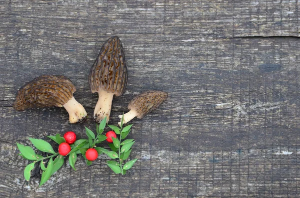 Morels na mesa — Fotografia de Stock