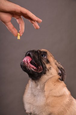 Give me that cookie