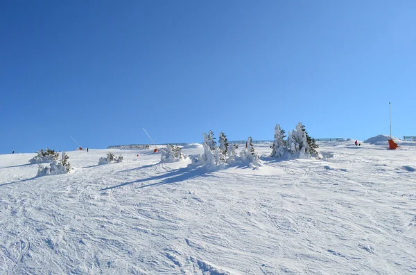 Ski slope — Stock Photo, Image