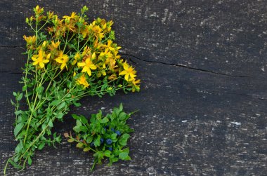 St John's wort ve yaban mersini