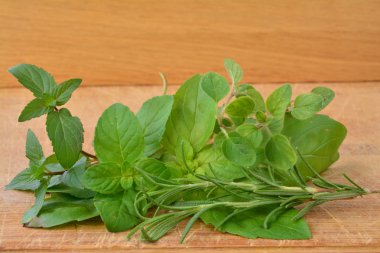 Taze aromatik bitkiler