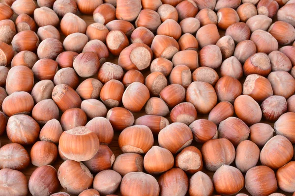 Full frame of hazelnuts — Stock Photo, Image