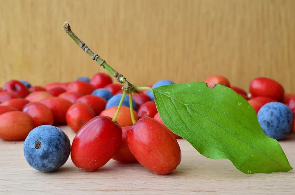 Sardy i owoców tarniny z bliska — Zdjęcie stockowe