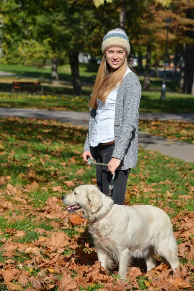 Девушка и собака стоят в осенних листьях — стоковое фото