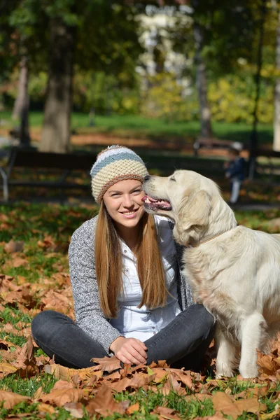 Chica en hojas de otoño y perro —  Fotos de Stock