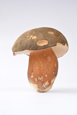 Beyaz üzerinde karanlık cep