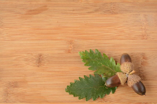 Eikels en bladeren — Stockfoto