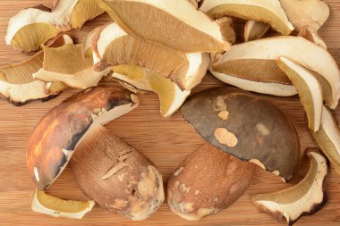 Yabani mantar düzenleme