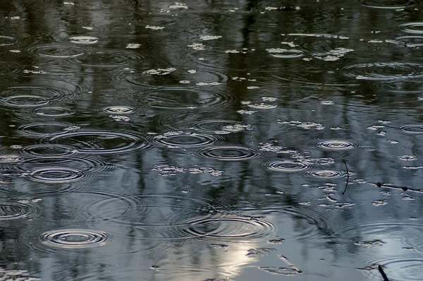 Пруд в парке под небольшим дождем — стоковое фото